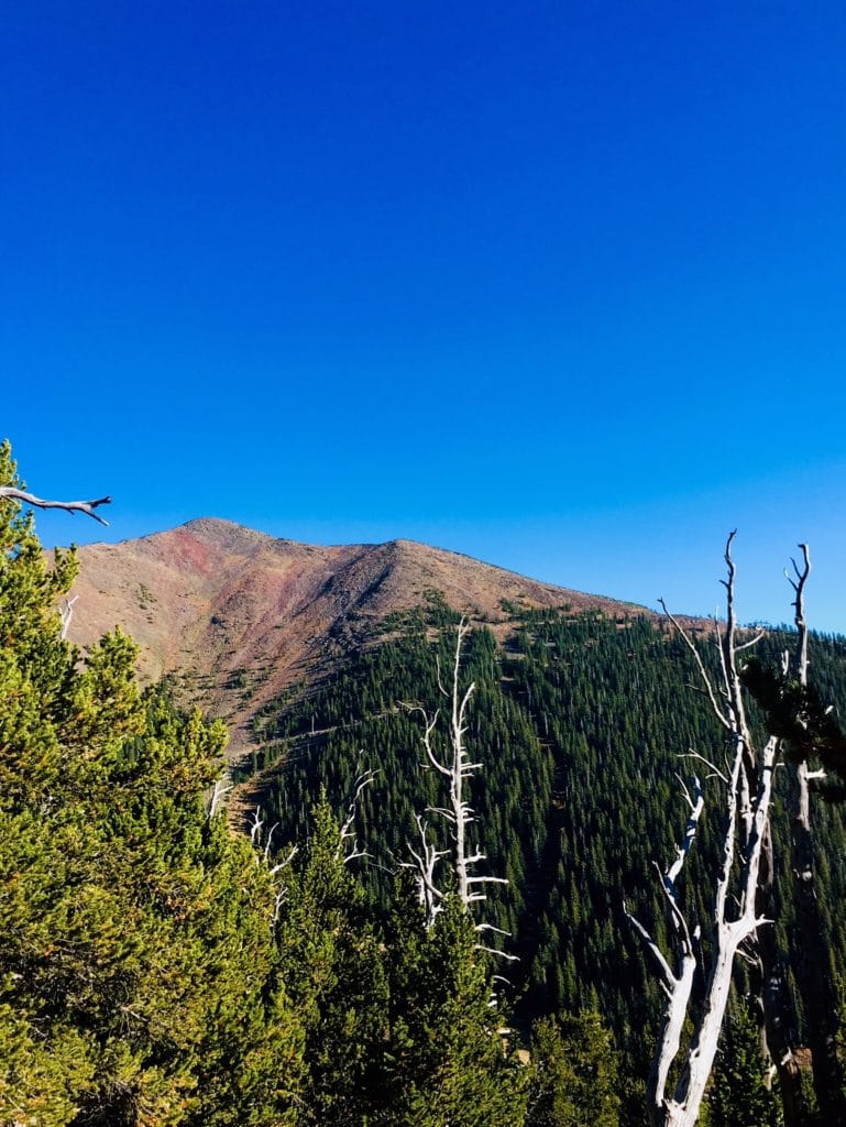 Humphreys Peak Trail Flagstaff Hiking