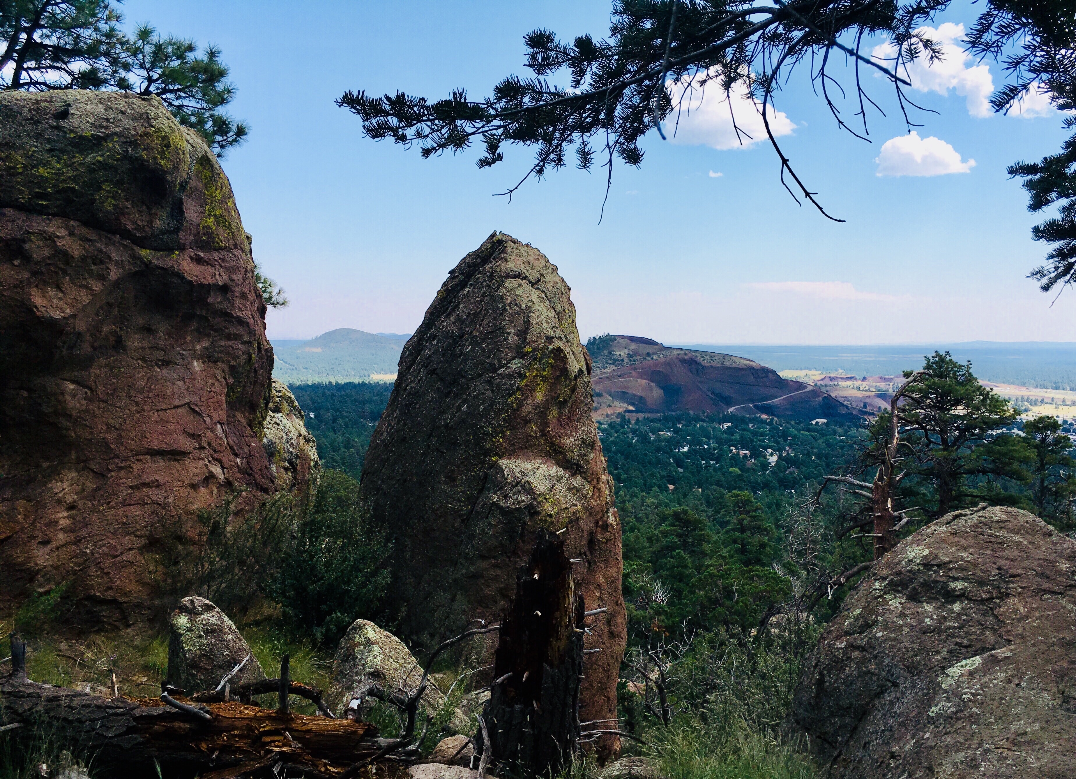 The Top 10 Hiking Trails in Flagstaff, Arizona Hike The