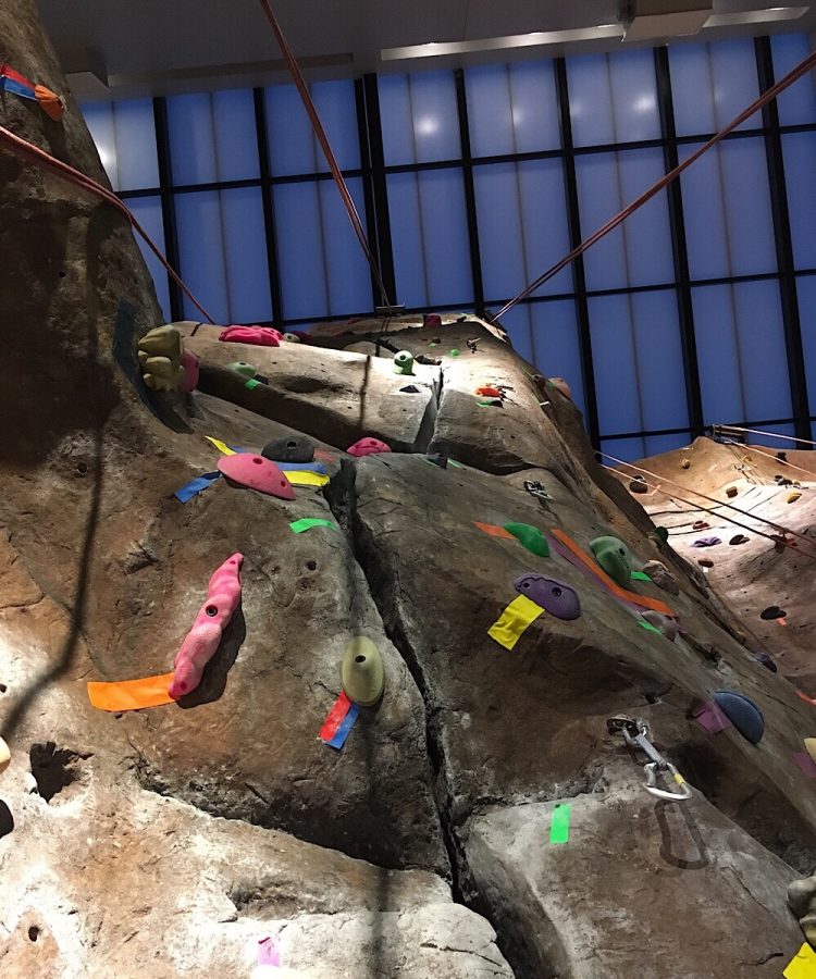 Looking up at an indoor rock climbing wall