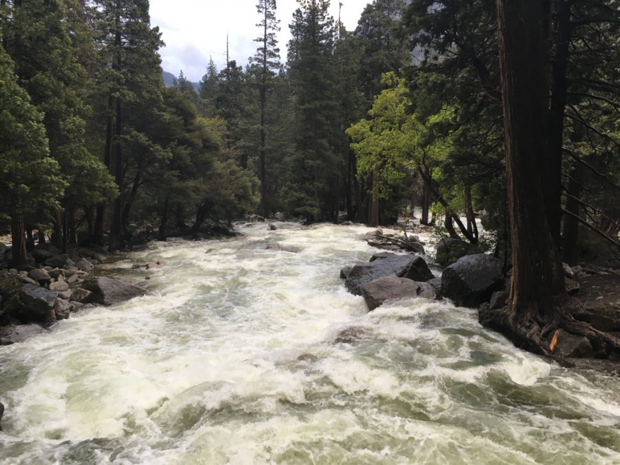 Lower Yosemite Falls Hike