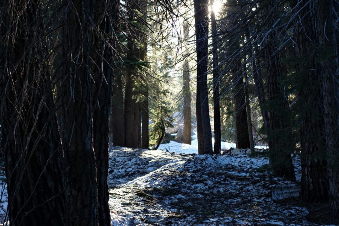 Yosemite Day Hike to Taft Point