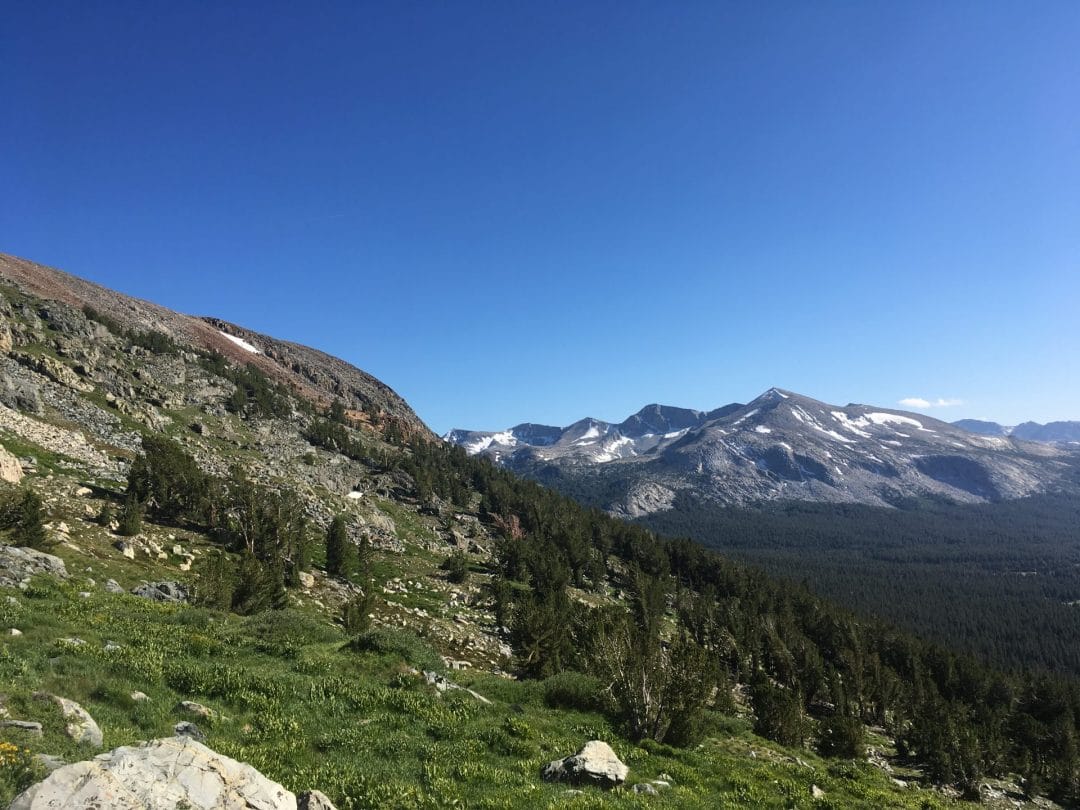 View of Tuolumne from the Mt. Dana trail