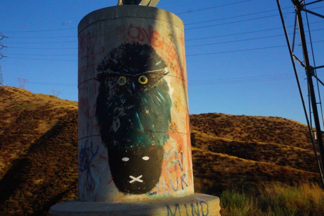 Grafitti in the Haskell Canyon Open Space Showing an Owl