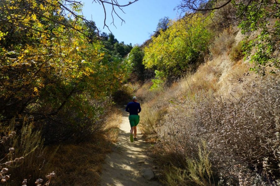 A Runner on the Towsley Canyon Loop Trail near Santa Clarita, California