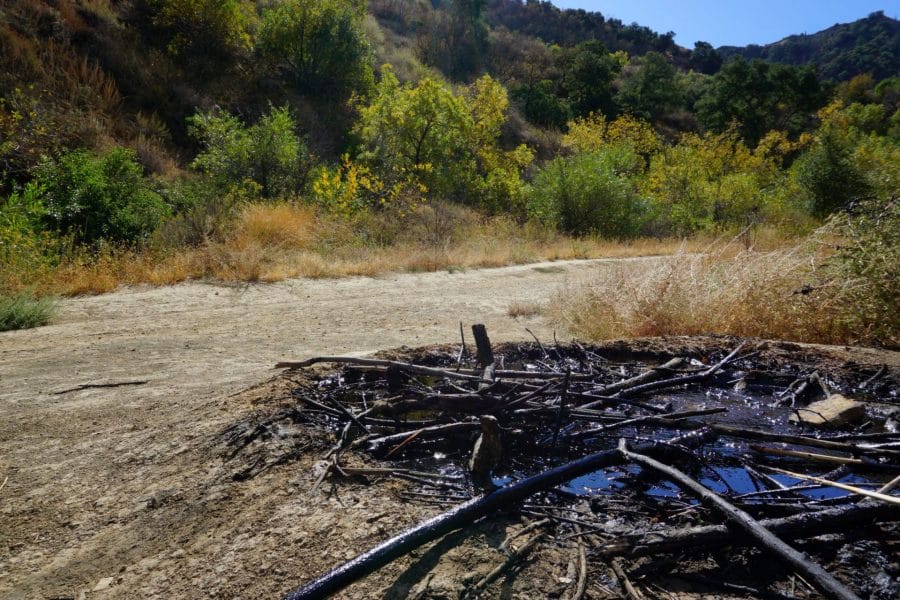 A Picture of Oil Seepage in Towsley Canyon near Santa Clarita, California