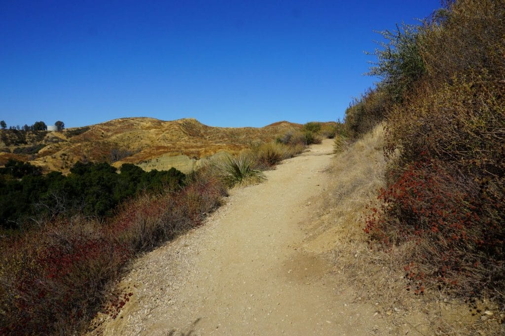 A view of the Hillside Trail in Placerita Canyon State Park