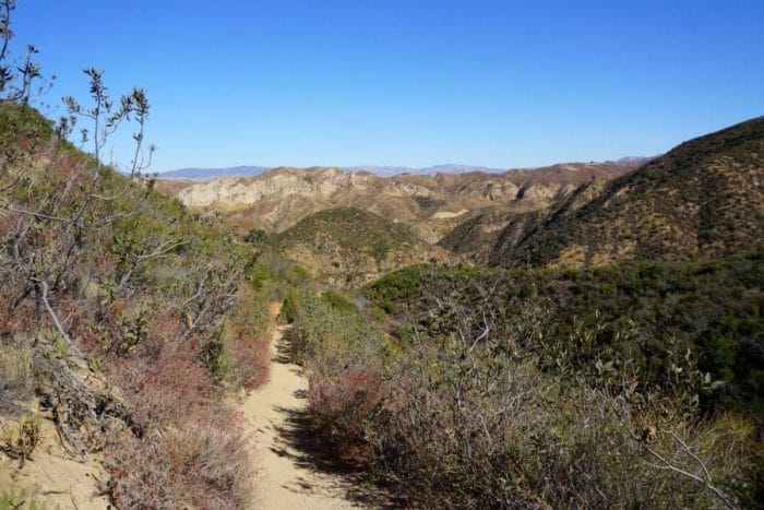 A View from the Manzanita Mountain Trail in Placerita Canyon, California