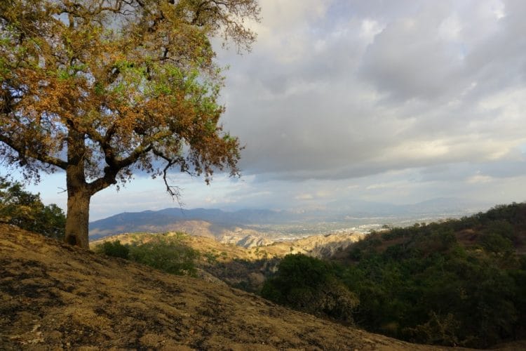 Looking down into the San Fernando Valley from East Canyon in Santa Clarita, California.