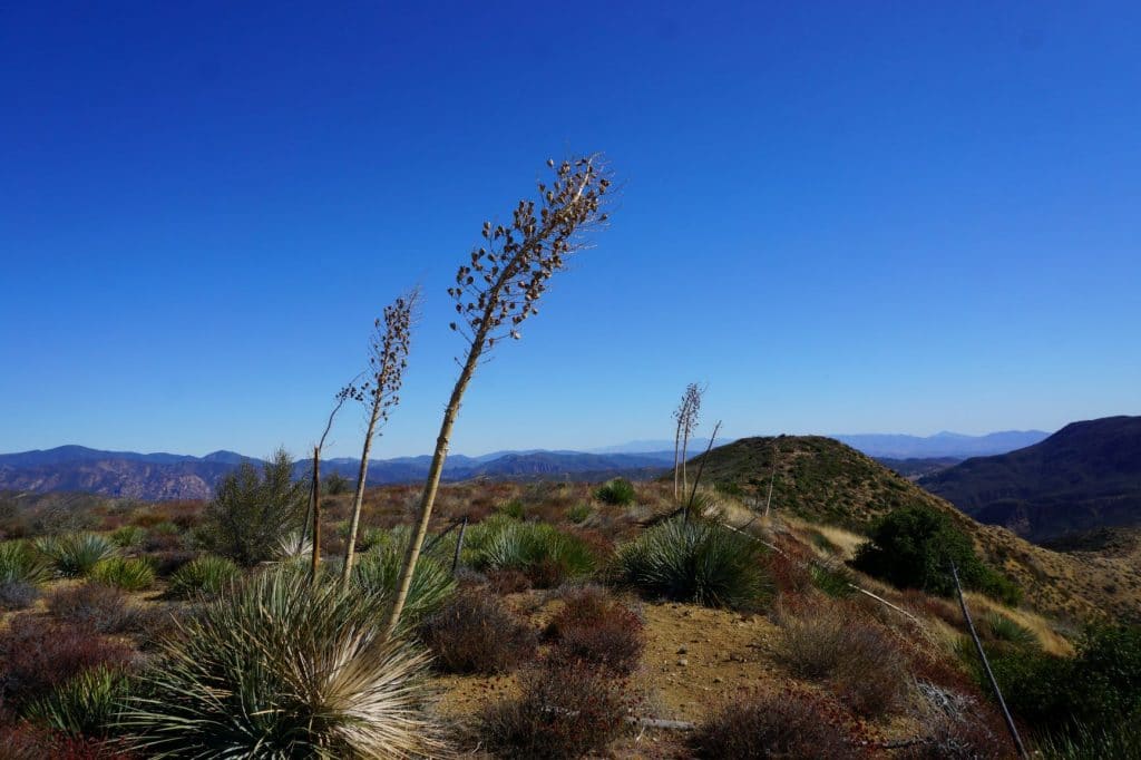 View of Yucca from the Slide Mountain Saddle