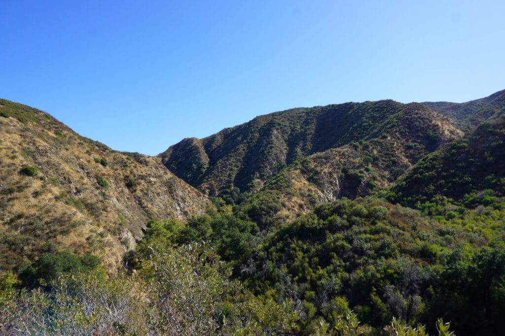 A View Looking into Placerita Canyon State Park