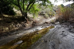 View of the Elsmere Creek Trail in Santa Clarita, California