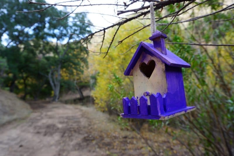 A Birdhouse in Elsmere Canyon, California