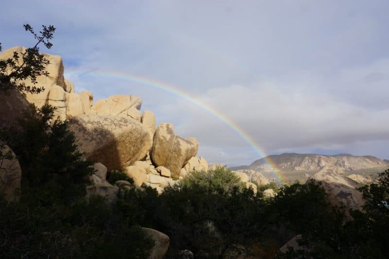 View of a Rainbow in Joshua Tree National Park
