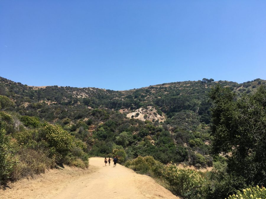 Two Hikers on the Brush Canyon Trail in Los Angeles, California